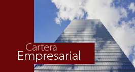 Cartera empresarial